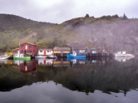 Quidi Vidi, Nowa Fundlandia